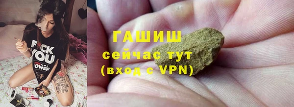 прущий лед Вяземский