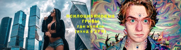амф Вязьма